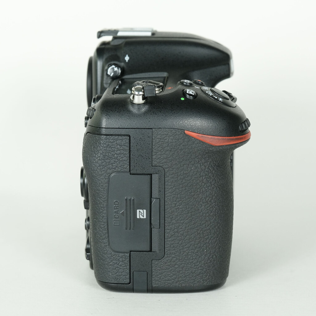 Nikon D500 [�{�f�B]