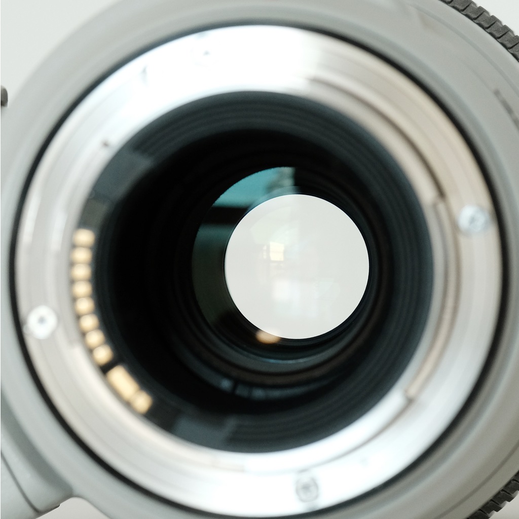 Canon EF100-400mm F4.5-5.6L IS II USM