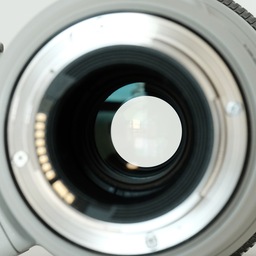 Canon EF100-400mm F4.5-5.6L IS II USM