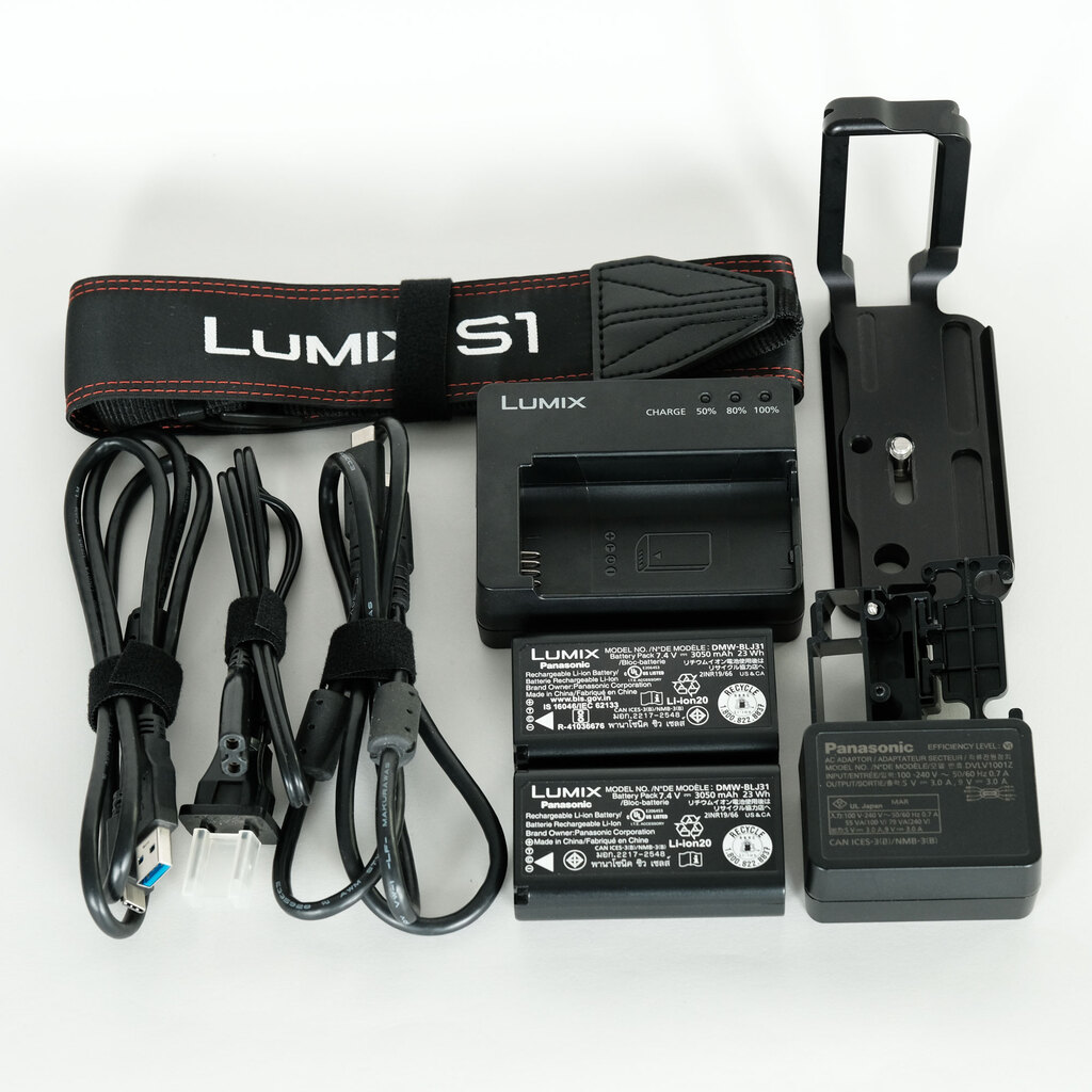 Panasonic LUMIX DC-S1