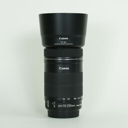 Canon EF-S55-250mm F4-5.6 IS STM