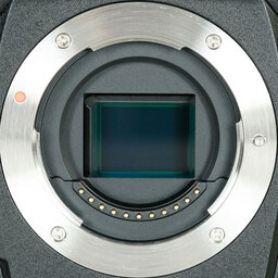 OM SYSTEM OM-1 Mark II