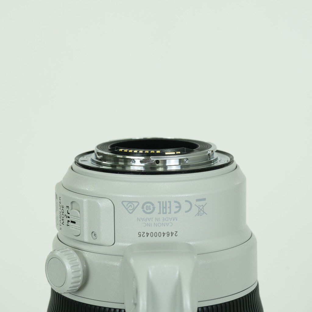 Canon EF100-400mm F4.5-5.6L IS II USM