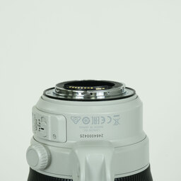 Canon EF100-400mm F4.5-5.6L IS II USM