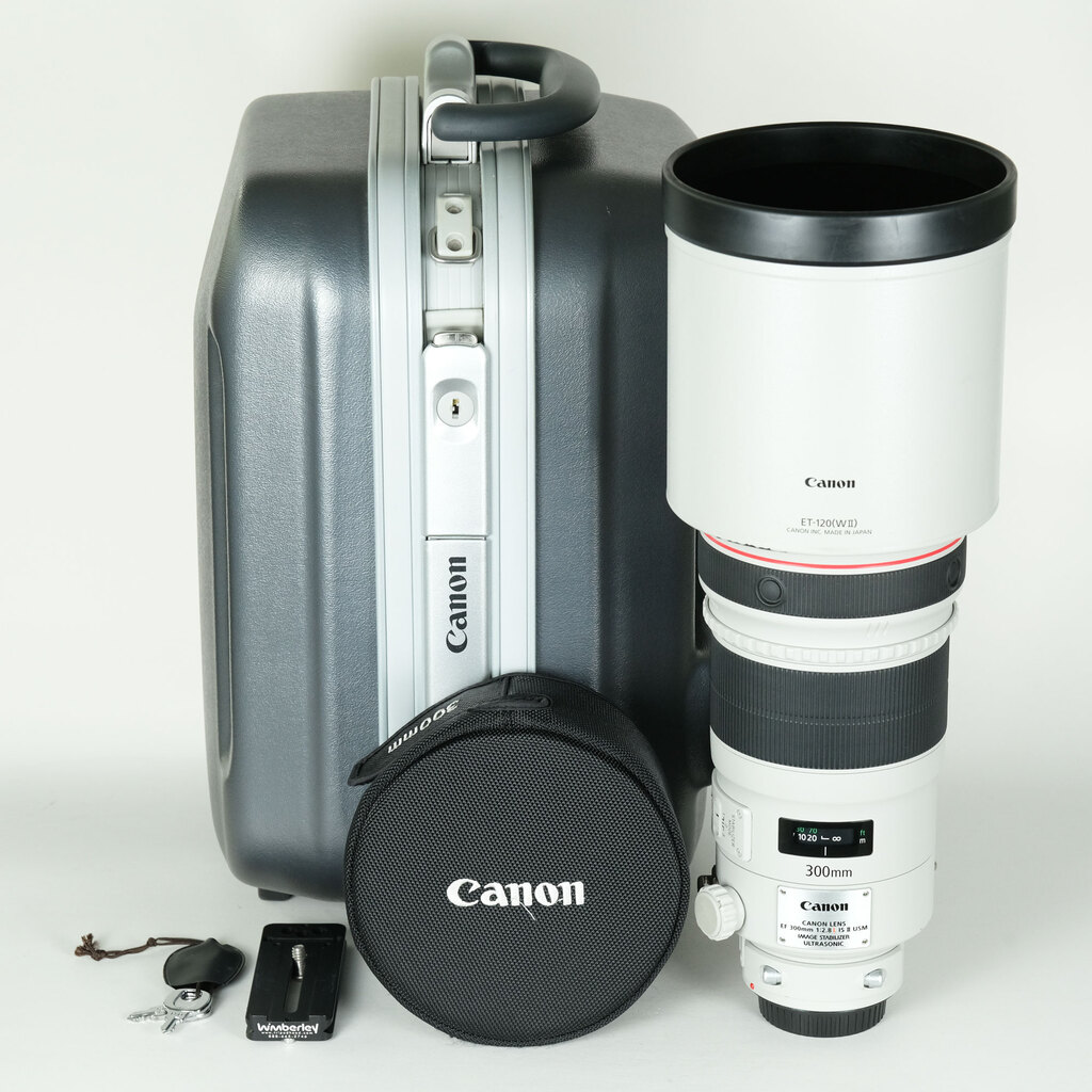 Canon EF300mm F2.8L IS II USMの出品 | ONE SCENE（ワンシーン）