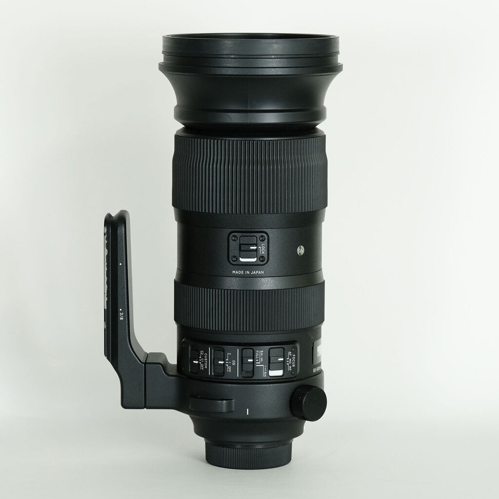 SIGMA 60-600mm F4.5-6.3 DG OS HSM｜Sports [ニコンF用]