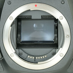 Canon EOS 5D Mark III