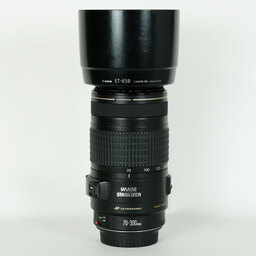 Canon EF70-300mm F4-5.6 IS USM