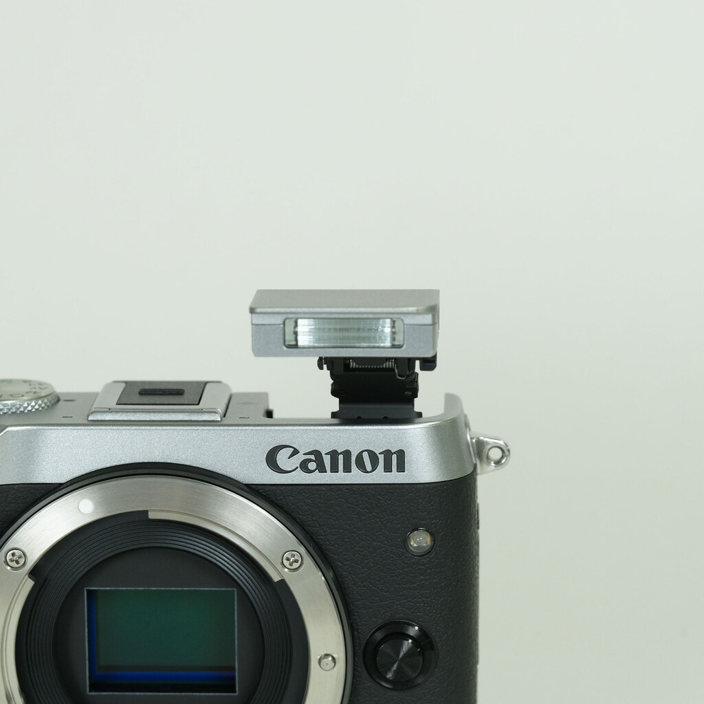 Canon EOS M6