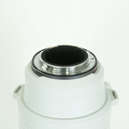Canon RF200-800mm F6.3-9 IS USM