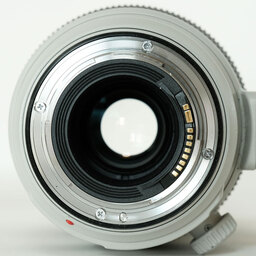 Canon EF100-400mm F4.5-5.6L IS II USM