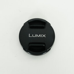 Panasonic LUMIX G VARIO 12-60mm / F3.5-5.6 ASPH. / POWER O.I.S.