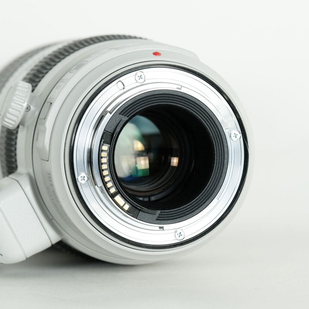 Canon EF100-400mm F4.5-5.6L IS II USM