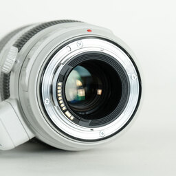 Canon EF100-400mm F4.5-5.6L IS II USM