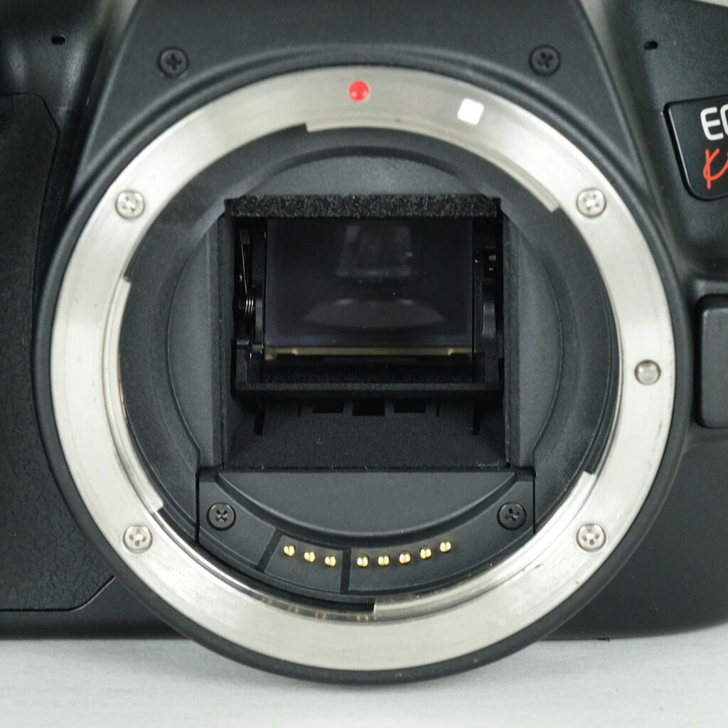 Canon EOS Kiss X10の出品 | ONE SCENE（ワンシーン）