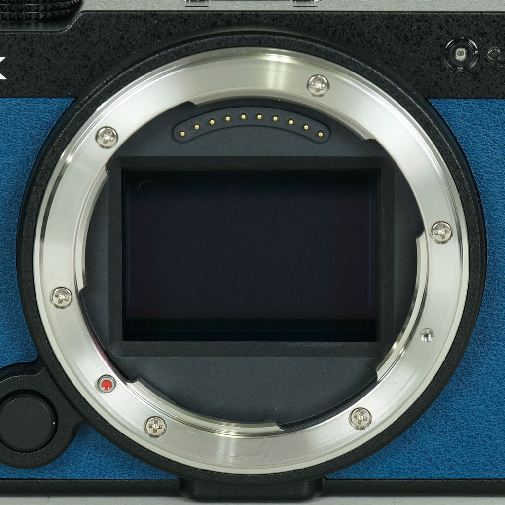 Panasonic LUMIX DC-S9