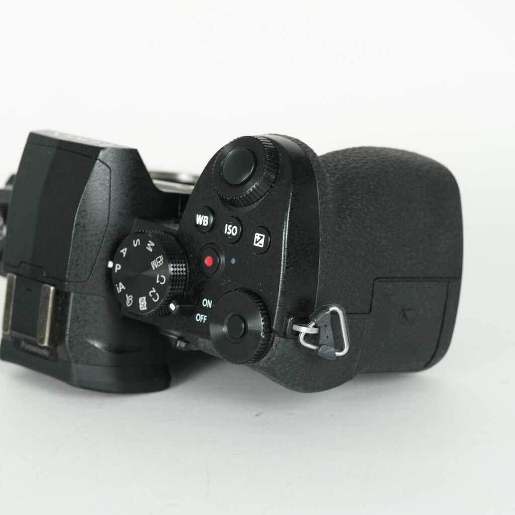 Panasonic LUMIX DC-G99の出品 | ONE SCENE（ワンシーン）