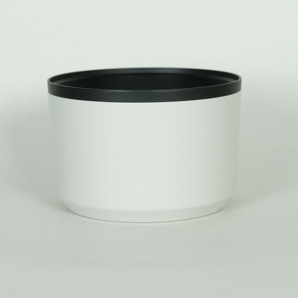 Canon RF100-500mm F4.5-7.1L IS USM