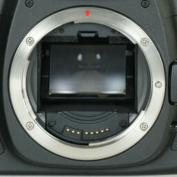 Canon EOS 5D MarkII ボディ