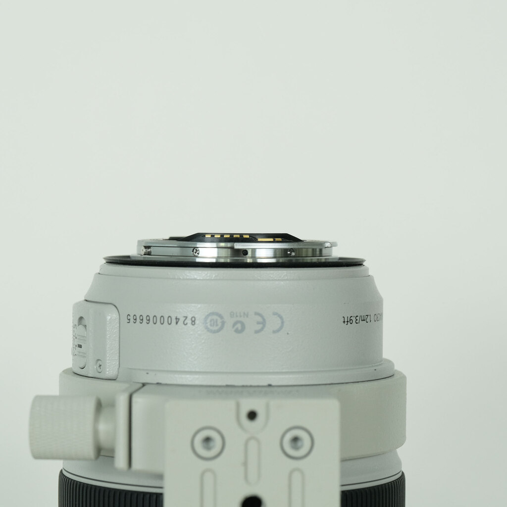 Canon EF70-300mm F4-5.6L IS USMの出品 | ONE SCENE（ワンシーン）