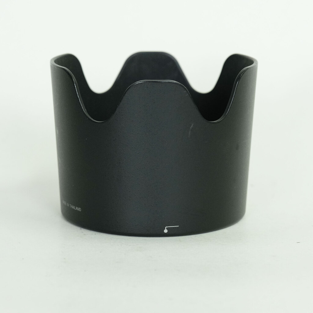 Nikon AF-S VR Zoom-Nikkor 70-300mm F4.5-5.6G IF-ED