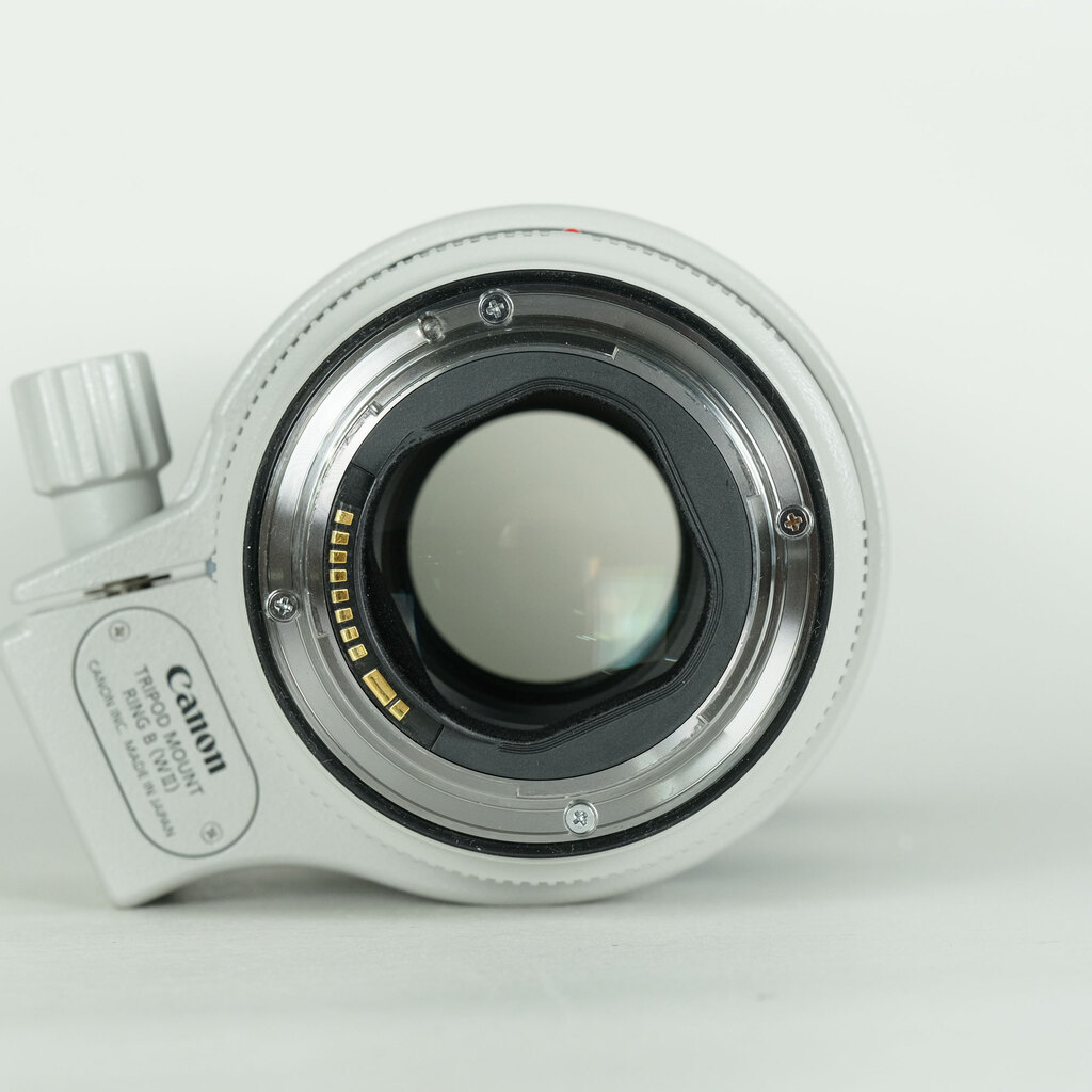 Canon EF70-200mm F2.8L IS III USM