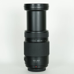 Panasonic LUMIX G VARIO 100-300mm / F4.0-5.6 II / POWER O.I.S.