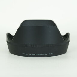 SIGMA 24-70mm F2.8 DG DN II｜Art [ソニーE用]