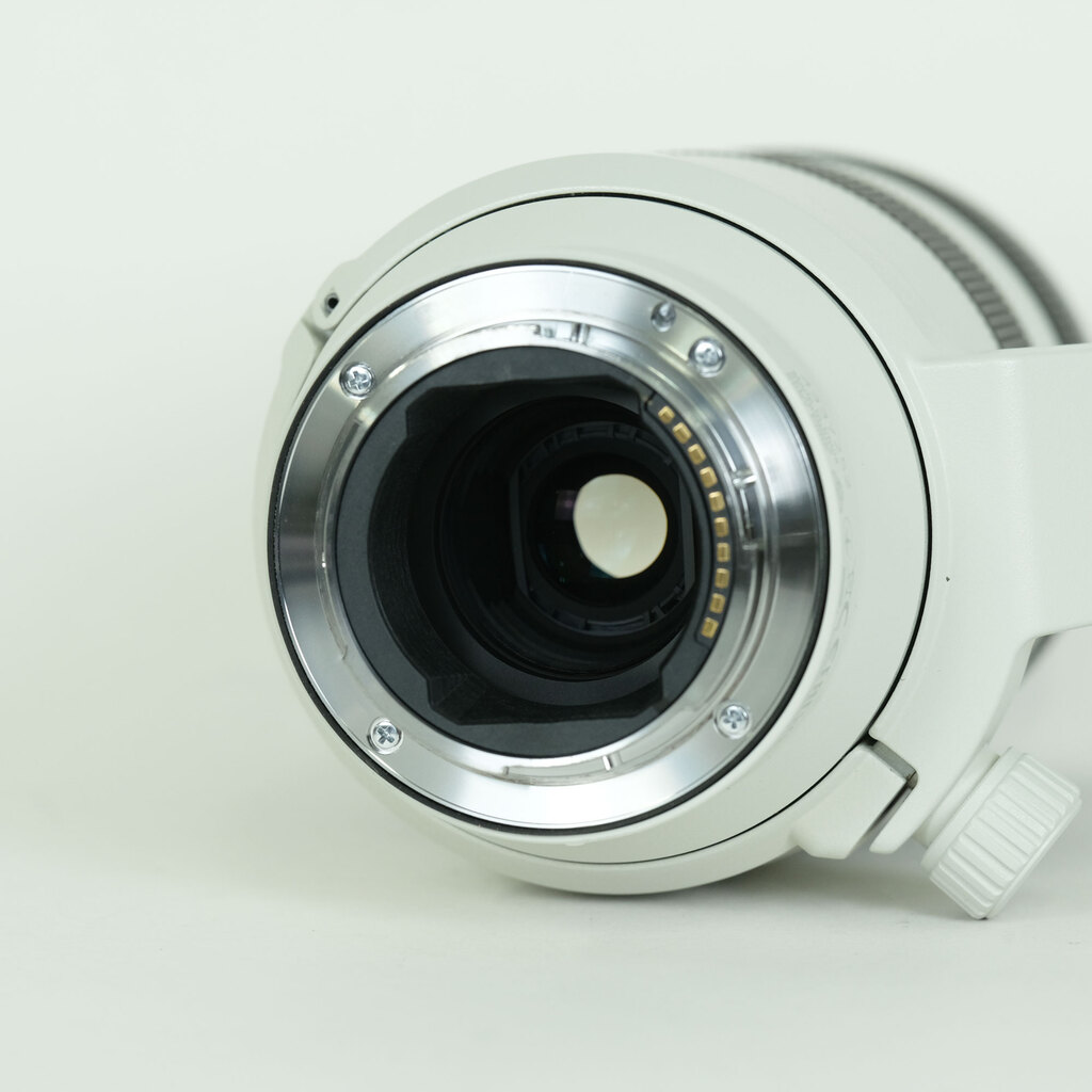 SONY FE70-200mm F4 Macro G OSS II SEL70200G2