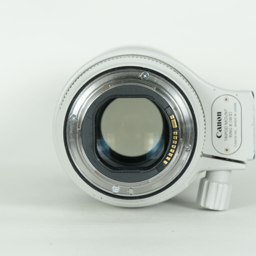Canon EF70-200mm F2.8L IS III USM