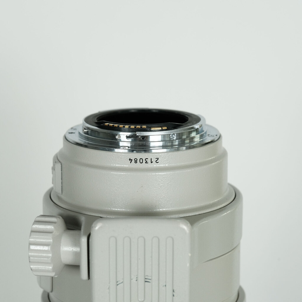 Canon EF100-400mm F4.5-5.6L IS USM