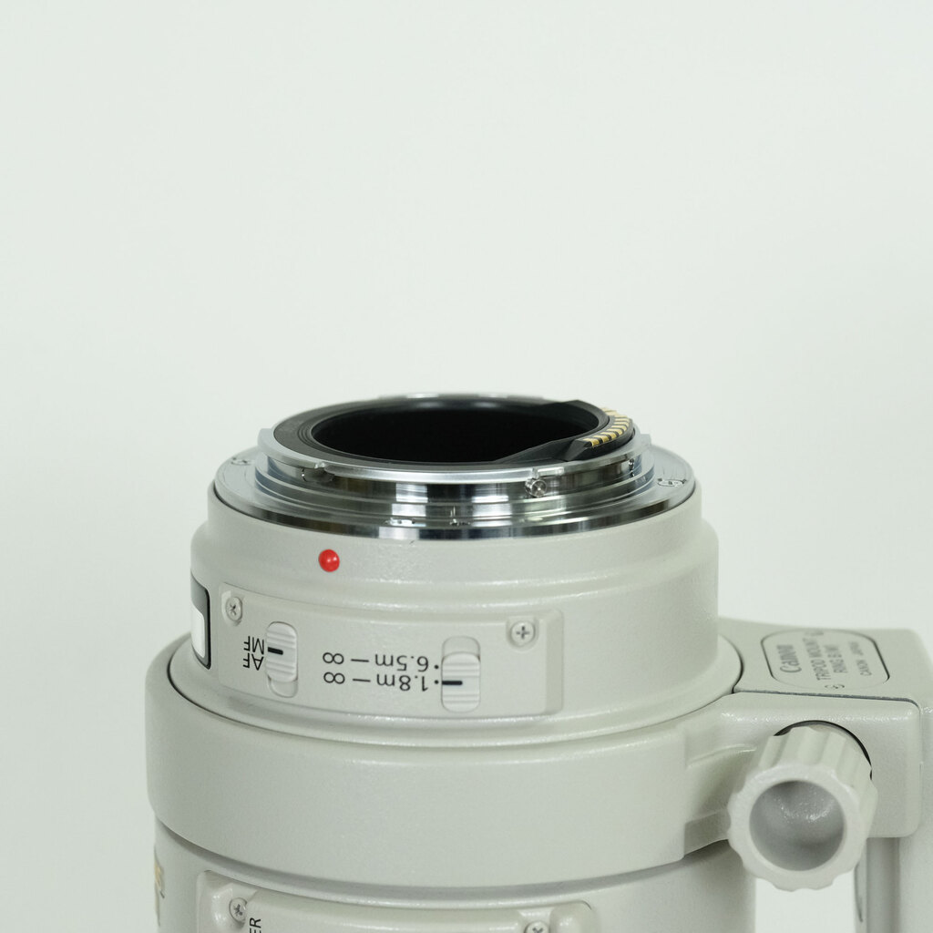 Canon EF100-400mm F4.5-5.6L IS USM