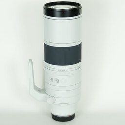 Canon RF200-800mm F6.3-9 IS USM Canon RF200-800mm F6.3-9 IS USM