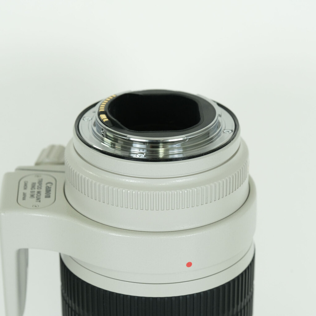 Canon EF70-200mm F2.8L IS II USM