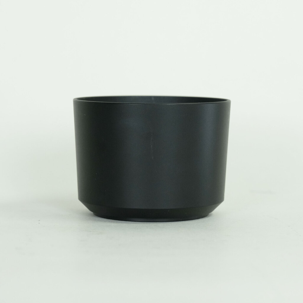 SONY E 55-210mm F4.5-6.3 OSS SEL55210