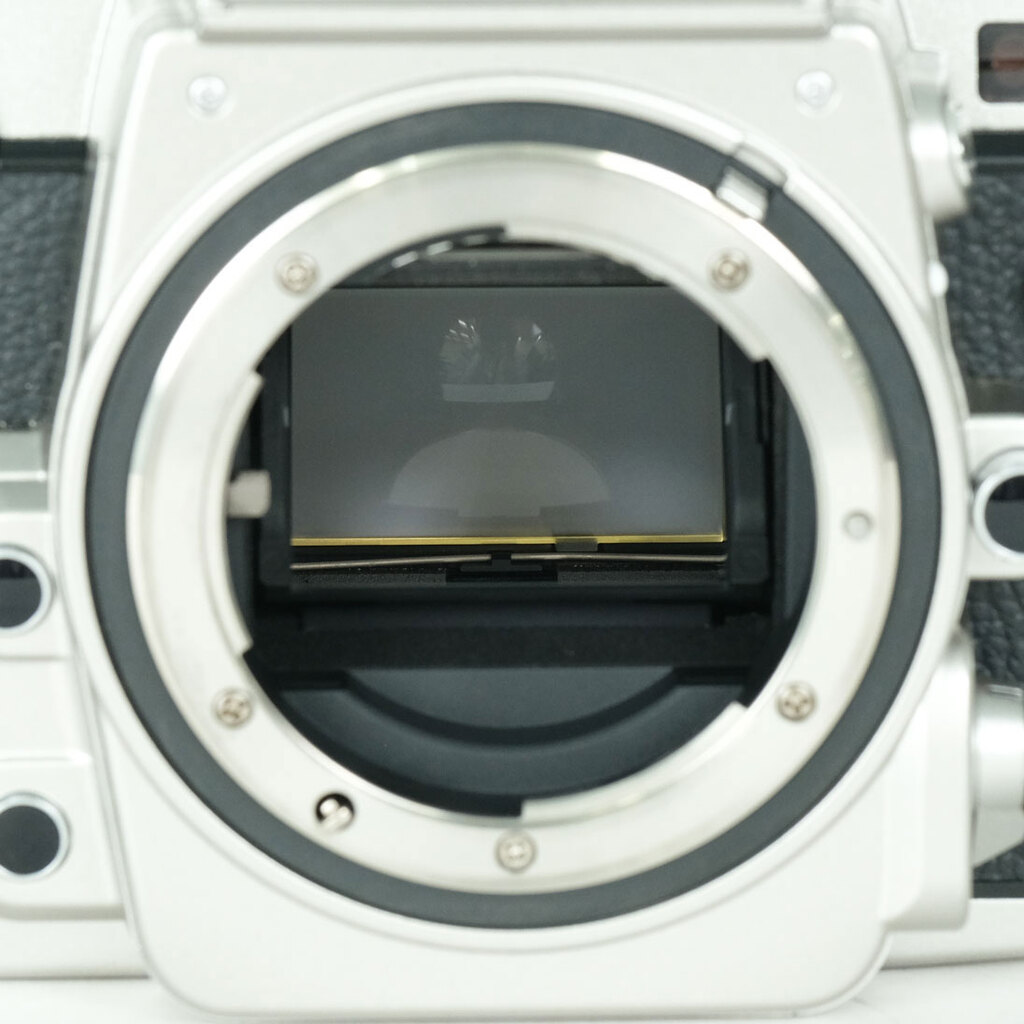 Nikon Dfの出品 | ONE SCENE（ワンシーン）