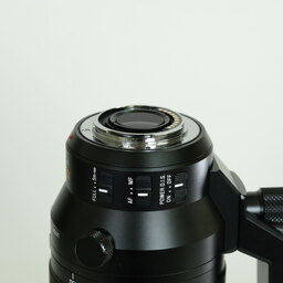 Panasonic LEICA DG VARIO-ELMAR 100-400mm / F4.0-6.3 II ASPH. / POWER O.I.S.