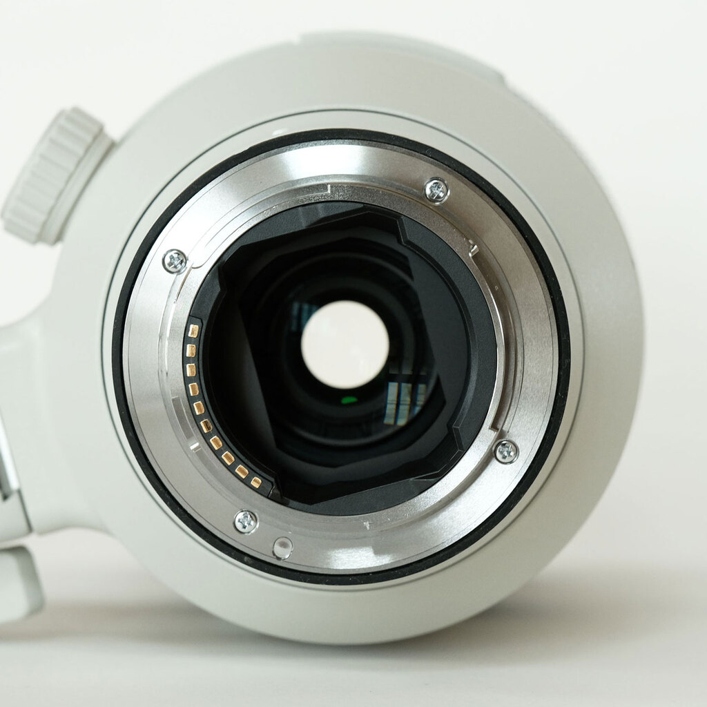 SONY FE 100-400mm F4.5-5.6 GM OSS SEL100400GM