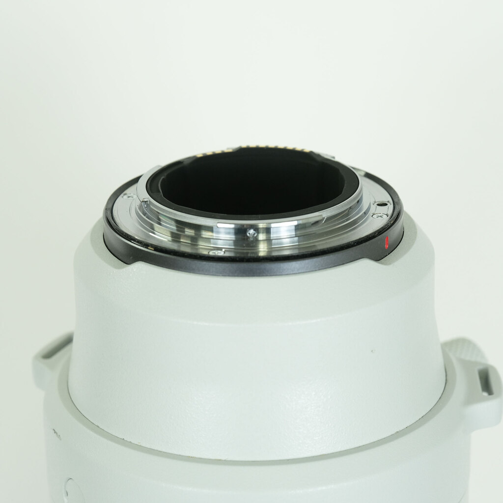 Canon RF200-800mm F6.3-9 IS USM