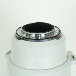 Canon RF200-800mm F6.3-9 IS USM