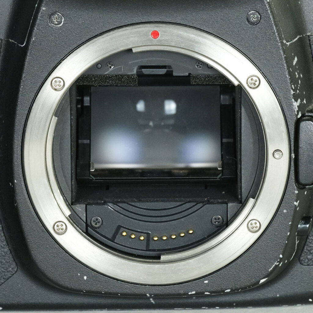 Canon EOS 5D MarkII ボディ