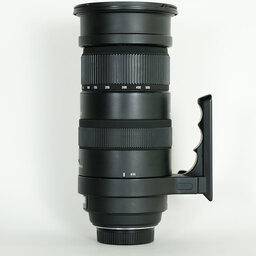 SIGMA APO 50-500mm F4.5-6.3 DG OS HSM [ニコンF用]