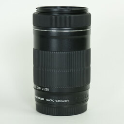 Canon EF-S55-250mm F4-5.6 IS STM