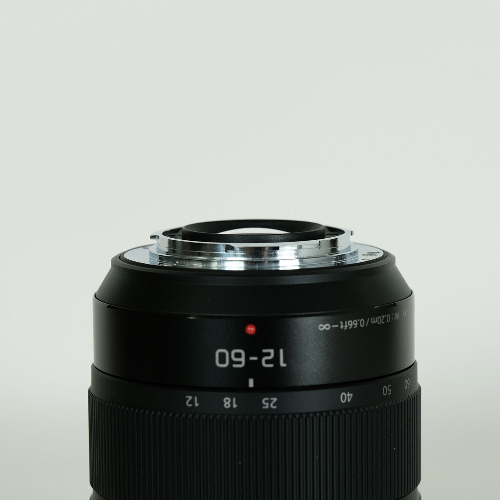 Panasonic LUMIX G VARIO 12-60mm / F3.5-5.6 ASPH. / POWER O.I.S.