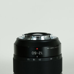 Panasonic LUMIX G VARIO 12-60mm / F3.5-5.6 ASPH. / POWER O.I.S.