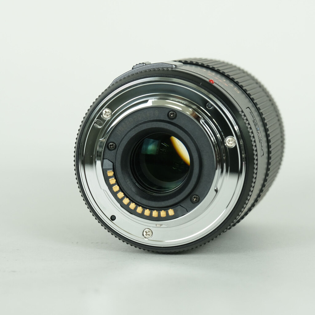 Panasonic LUMIX G X VARIO PZ 45-175mm / F4.0-5.6 ASPH. / POWER