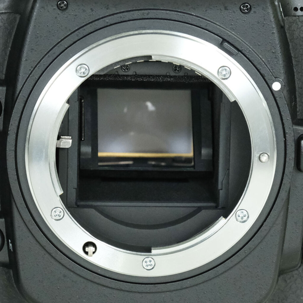 Nikon D300S ボディ