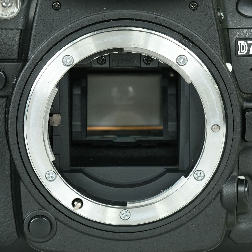Nikon D7000