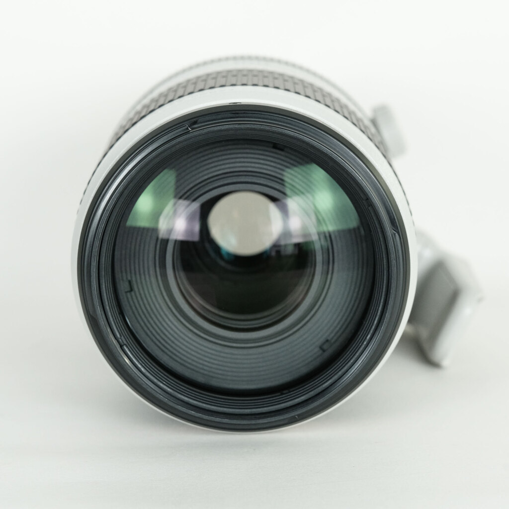 Canon EF100-400mm F4.5-5.6L IS II USM