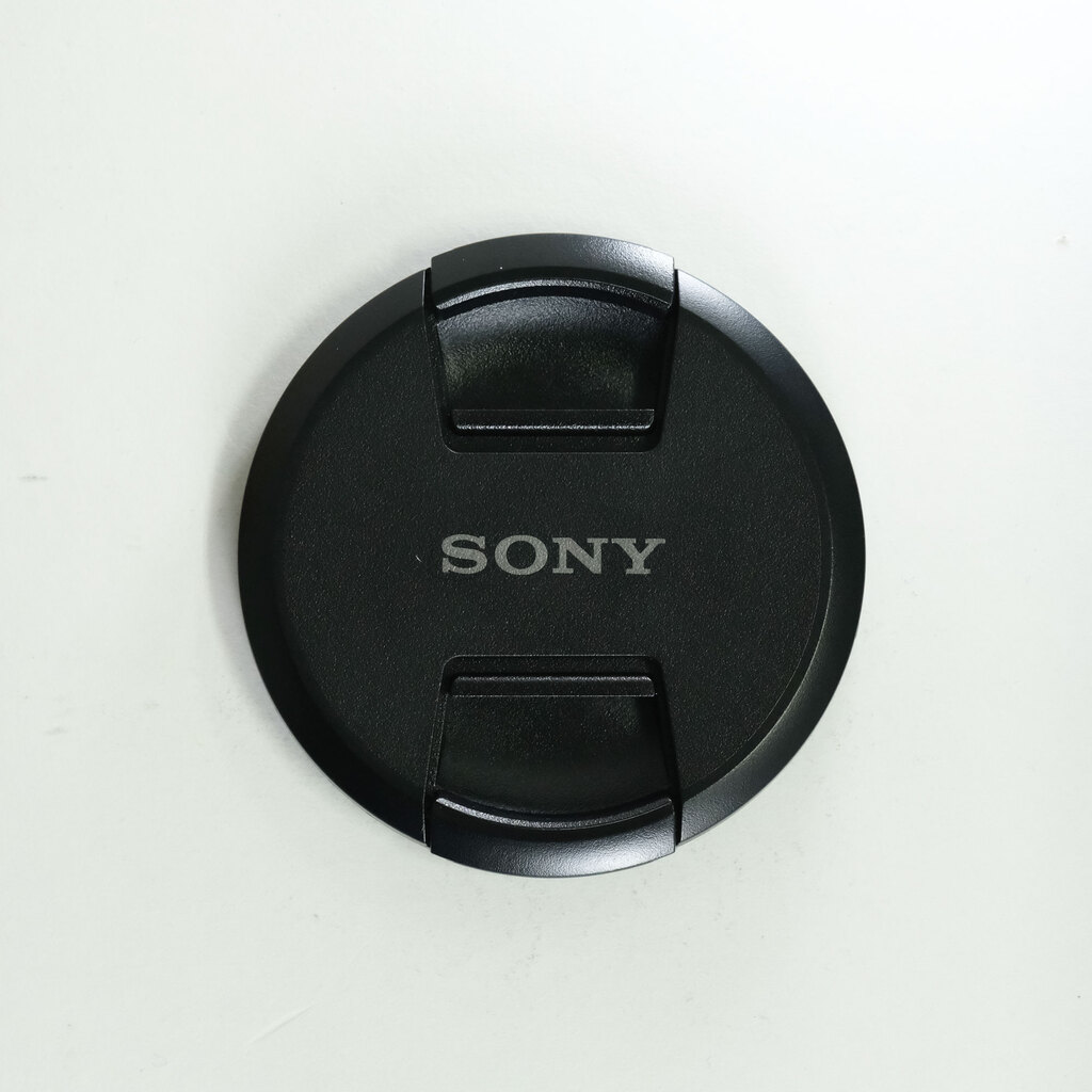 SONY FE 24-105mm F4 G OSS SEL24105G